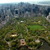 Man Arrested For Attempted Rape Of Runner In Central Park